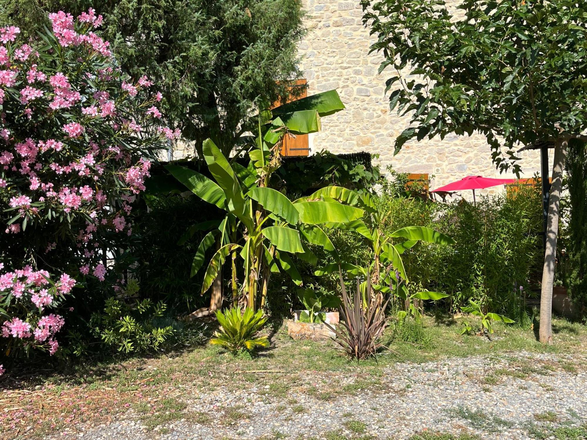La Bergerie Apartment Domessargues Exterior foto